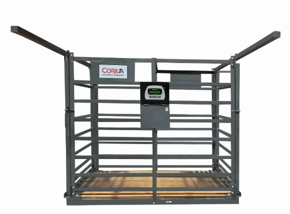 Captura de pantalla 2026-03-29 225935